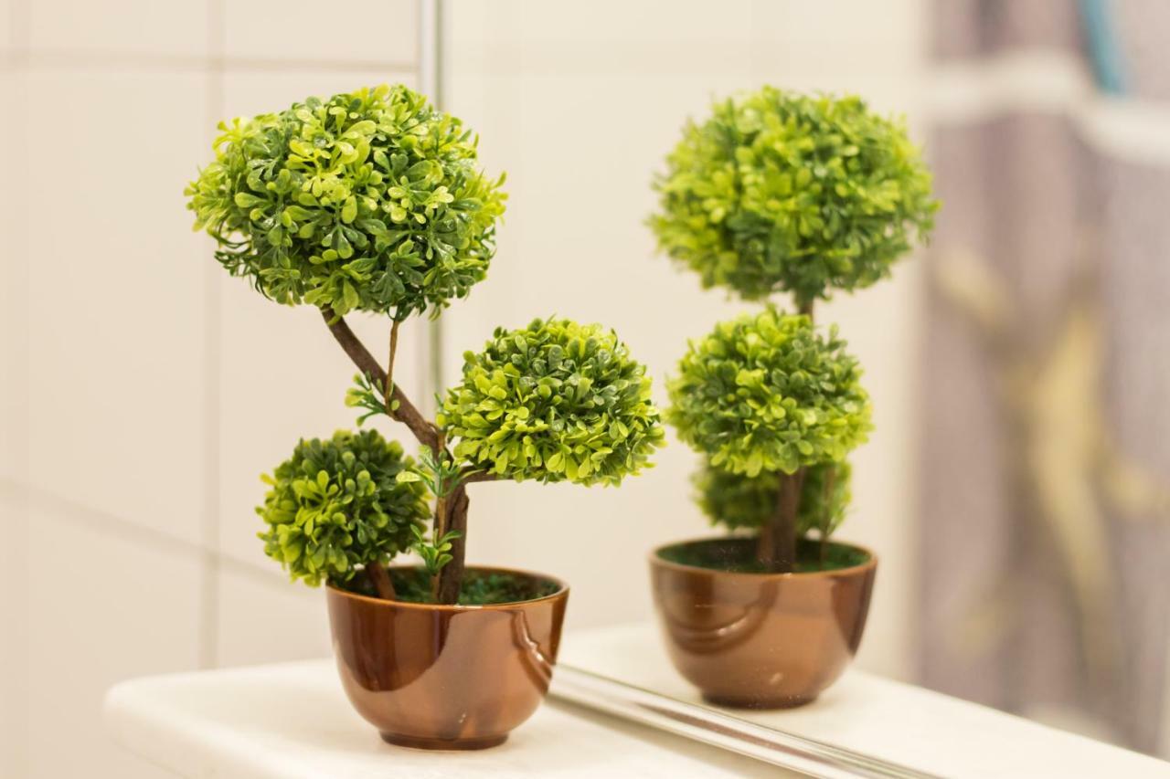 Kimata Apartments Arkasa Eksteriør billede